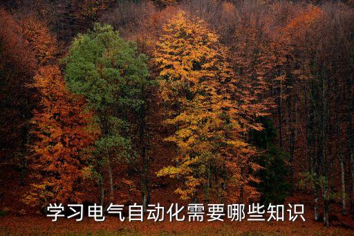 電氣自動化自學(xué)什么,電氣自動化技術(shù)專業(yè)主要學(xué)習(xí)什么?