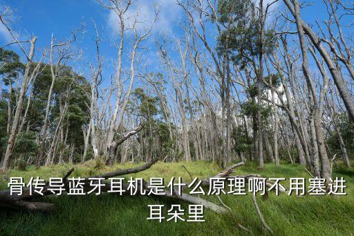 骨導(dǎo)耳機(jī)，什么牌子的骨傳導(dǎo)耳機(jī)好