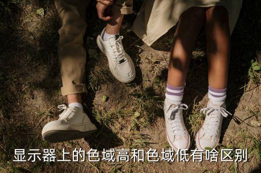 顯示器上的色域高和色域低有啥區(qū)別