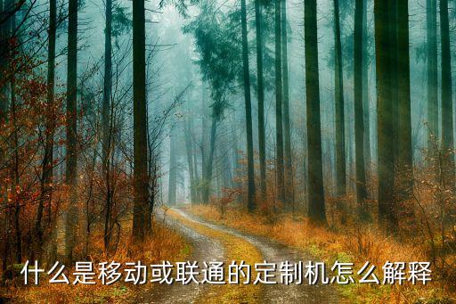 什么是移動或聯(lián)通的定制機怎么解釋