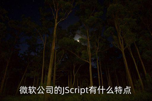 微軟公司的JScript有什么特點(diǎn)