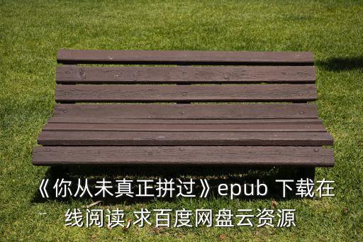 《你從未真正拼過》epub 下載在線閱讀,求百度網(wǎng)盤云資源