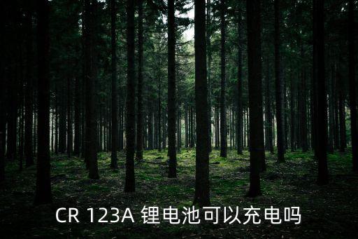 CR 123A 鋰電池可以充電嗎