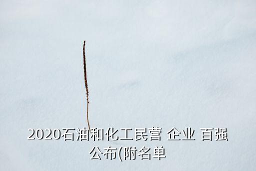 2020石油和化工民營 企業(yè) 百強公布(附名單