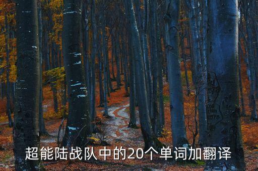 超能機(jī)器人女孩翻譯,關(guān)于機(jī)器人你必須知道的事情