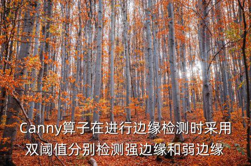 canny邊緣檢測(cè)，MATLAB Canny算子實(shí)現(xiàn)圖像邊緣檢測(cè)的問題