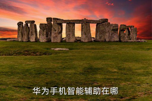 華為手機智能輔助在哪