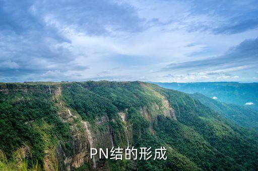 pn結的形成，PN結的形成