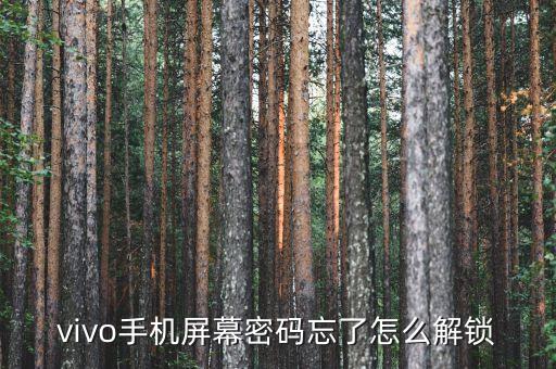 解鎖密碼,手機忘記鎖屏密碼怎么解鎖?