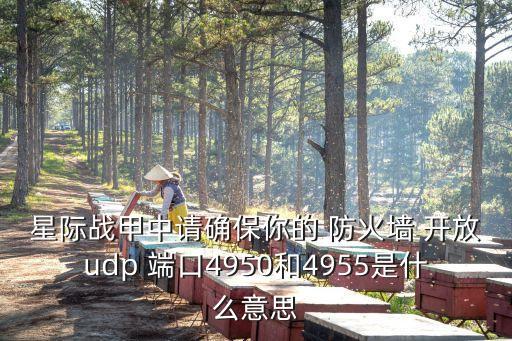 星際戰(zhàn)甲中請(qǐng)確保你的 防火墻 開(kāi)放udp 端口4950和4955是什么意思