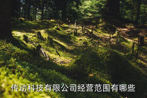 傳動科技有限公司經營范圍有哪些
