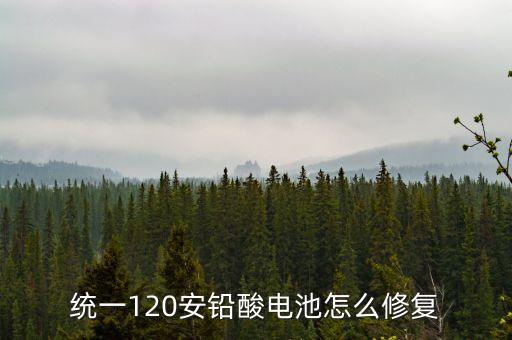 統(tǒng)一120安鉛酸電池怎么修復(fù)