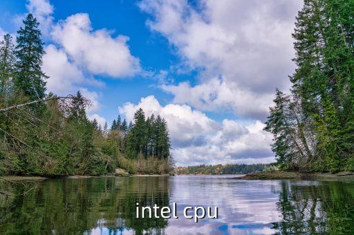 intel cpu