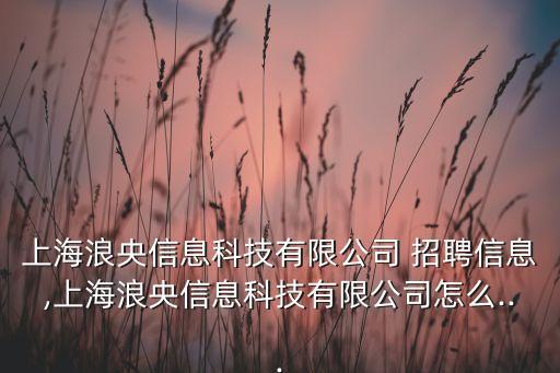 上海浪央信息科技有限公司 招聘信息,上海浪央信息科技有限公司怎么...