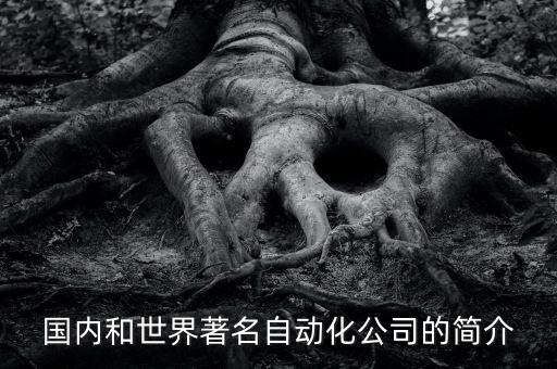 國內(nèi)和世界著名自動化公司的簡介