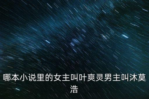 哪本小說里的女主叫葉爽靈男主叫沐莫浩