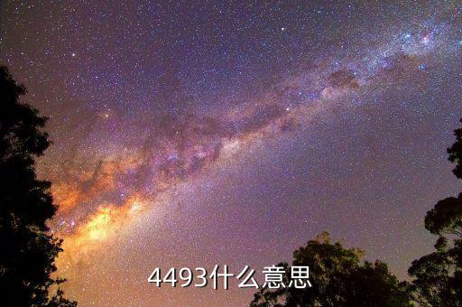 4493什么意思