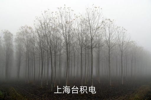 上海臺積電