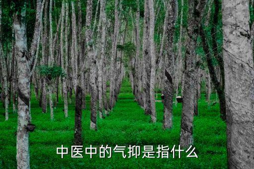中醫(yī)中的氣抑是指什么