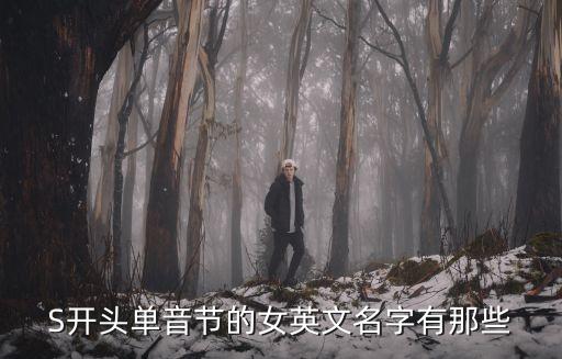 S開(kāi)頭單音節(jié)的女英文名字有那些