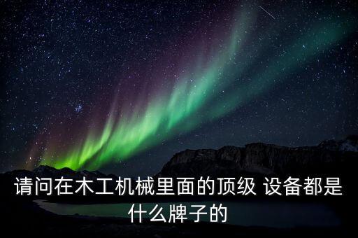請問在木工機械里面的頂級 設備都是什么牌子的