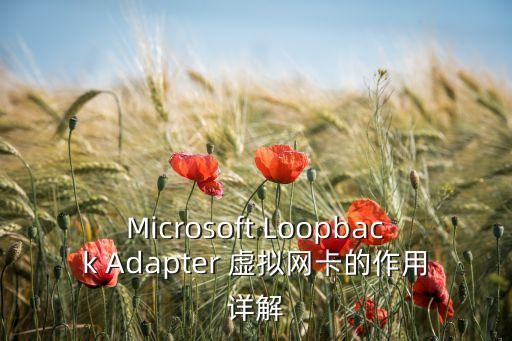 Microsoft Loopback Adapter 虛擬網卡的作用詳解