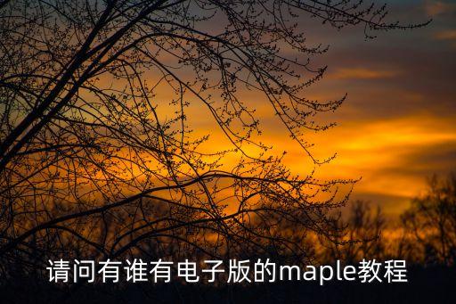 請(qǐng)問(wèn)有誰(shuí)有電子版的maple教程