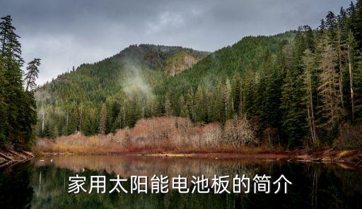 光伏電板，那個(gè)光伏電板好