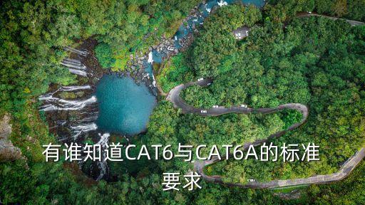 有誰知道CAT6與CAT6A的標準要求
