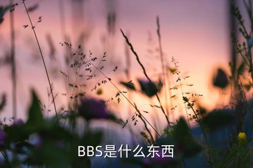 BBS是什么東西