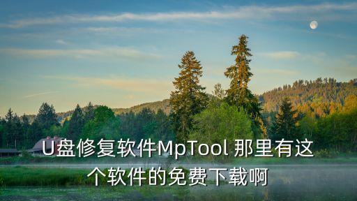 U盤修復(fù)軟件MpTool 那里有這個軟件的免費(fèi)下載啊