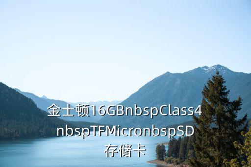 金士頓16GBnbspClass4nbspTFMicronbspSD存儲卡