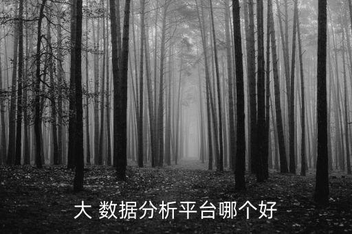 大 數據分析平臺哪個好