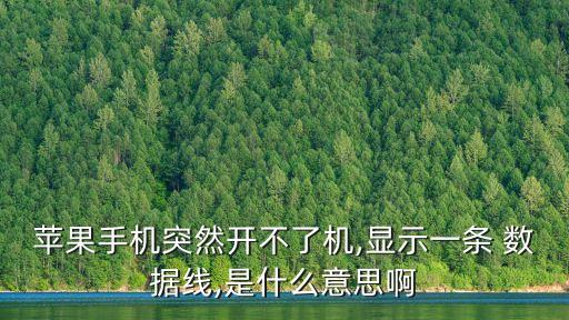 蘋果手機(jī)突然開不了機(jī),顯示一條 數(shù)據(jù)線,是什么意思啊