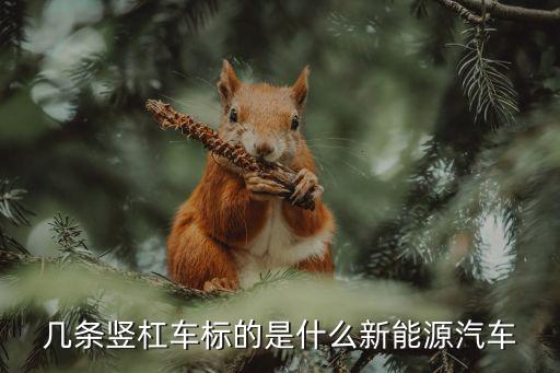 幾條豎杠車標(biāo)的是什么新能源汽車