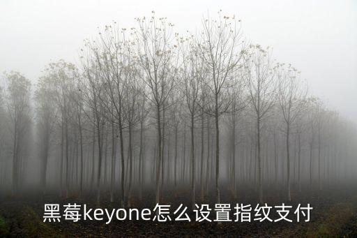 keyone，本人是個(gè)霉粉想問(wèn)一下有沒(méi)有人用過(guò)黑莓KEYone好不好用