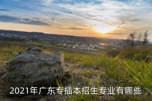 廣東電氣自動(dòng)化專插本學(xué)習(xí),廣東插本最好的大學(xué)名單出爐