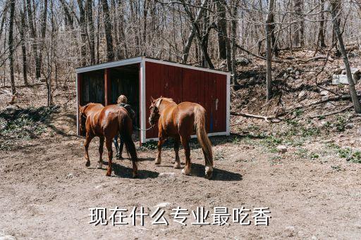 大數(shù)據(jù) 技術(shù)專家,未來就業(yè)市場熱點有哪些