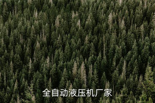 全自動液壓機廠家