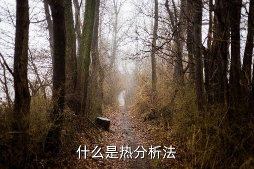 熱重分析，什么是熱解重量原理