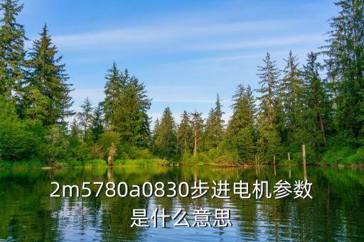 2m5780a0830步進電機參數(shù)是什么意思