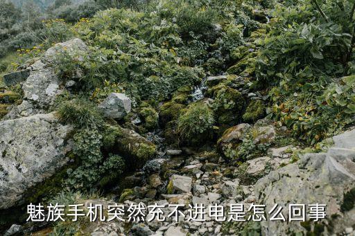魅族手機(jī)充電數(shù)據(jù)線壞了怎么辦,手機(jī)充不進(jìn)電怎么回事?