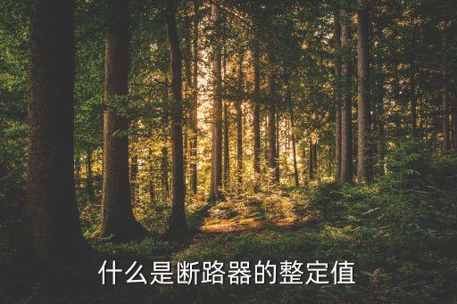 什么是斷路器的整定值