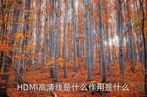 HDMI高清線是什么作用是什么