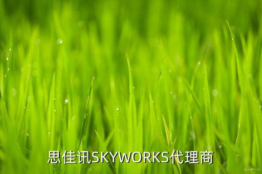 思佳訊SKYWORKS代理商