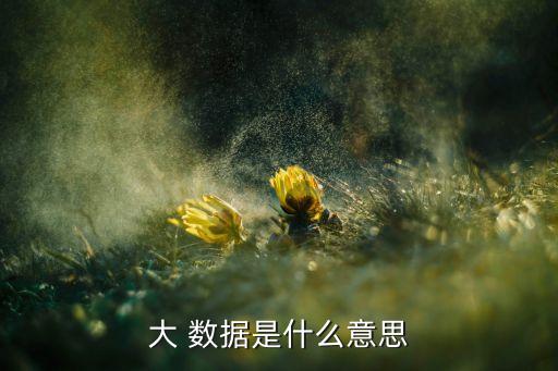 大數(shù)據(jù)是指什么,什么是大數(shù)據(jù)