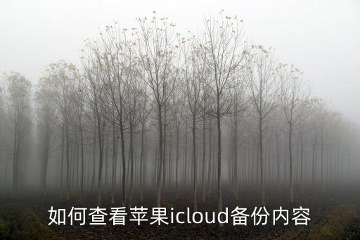 如何查看蘋(píng)果icloud備份內(nèi)容