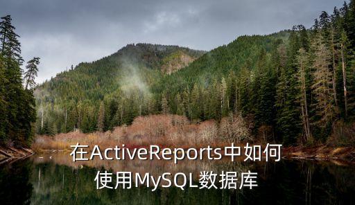 在ActiveReports中如何使用MySQL數(shù)據(jù)庫
