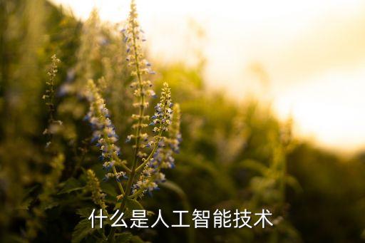 什么是人工智能技術(shù)