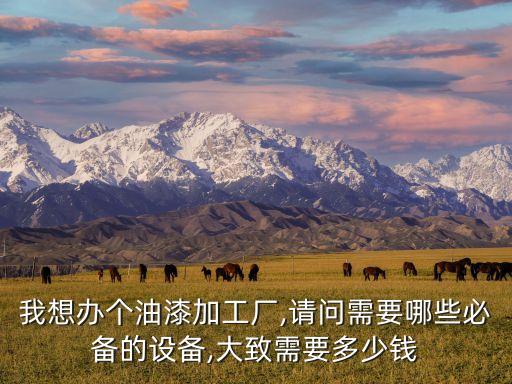 我想辦個油漆加工廠,請問需要哪些必備的設(shè)備,大致需要多少錢